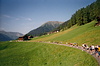 Swiss Alpine Davos C42 2004