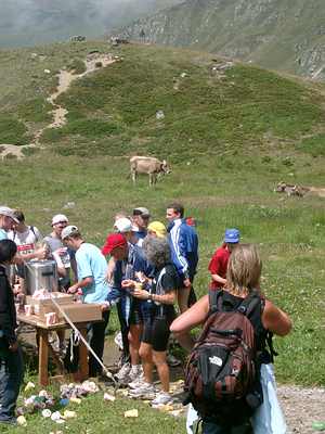 20. Swiss Alpine Davos - Coo-le Kuh