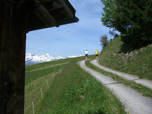 Liechtenstein-Marathon 2006 - immer höher und höher