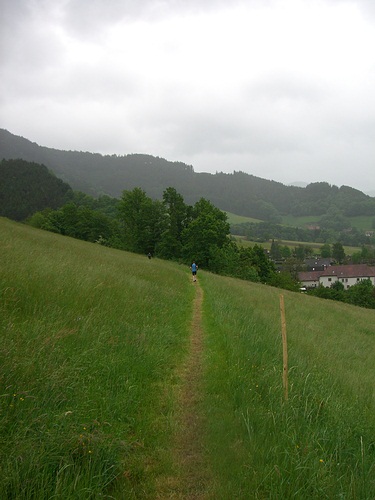 4. Panoramalauf Zweitälerland: Der Single Trail zum Ziel
