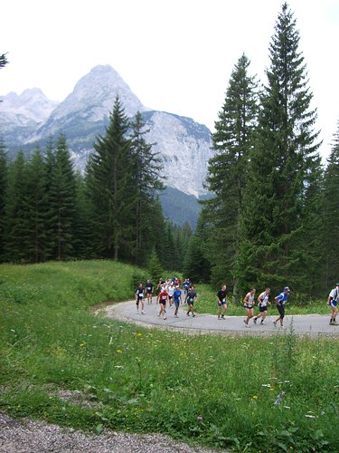 6. Zugspitz-Extremberglauf: Waldlauf nach oben
