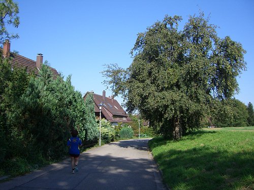 Batzenhofweg Hohenwettersbach