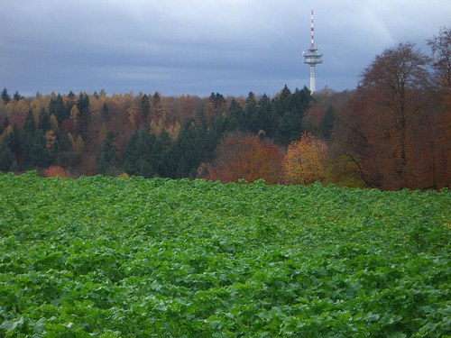 Funkturm Grünwettersbach von der Bergwald-Siedlung aus gesehen