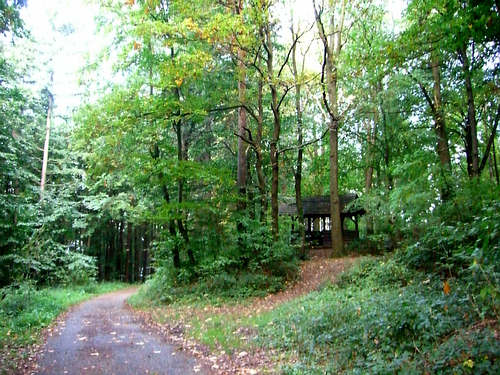 Waldhütte auf dem Weg von der Bergwald-Siedlung nach Wolfartsweier