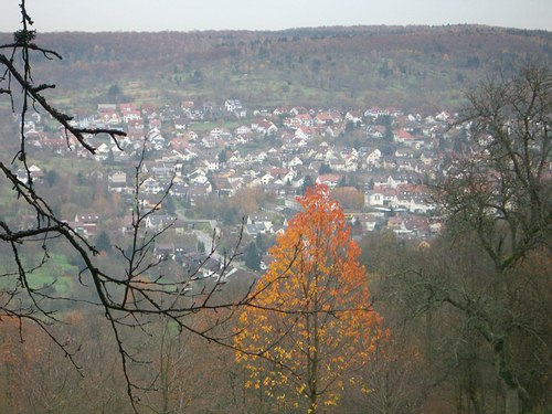 Herbstlicher Baum vor Söllingen