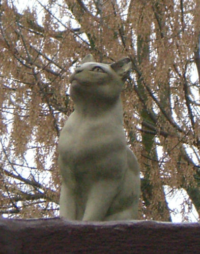 Die steinerne Katze in Hohenwettersbach ist genauso arrogant wie unsere Lissi
