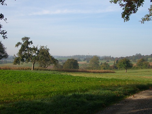 Felder vor dem Thomashof